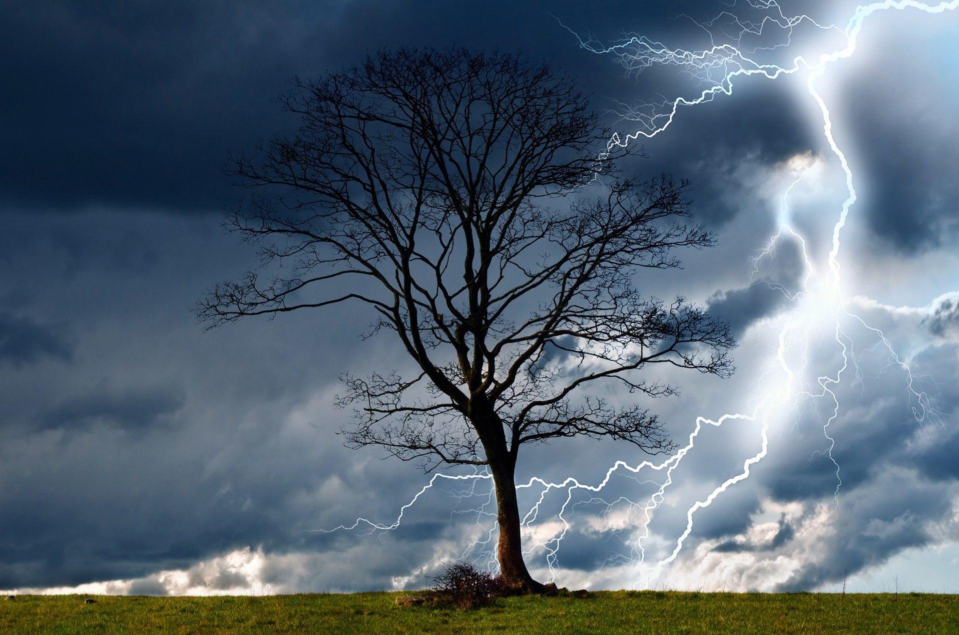 1920x1272 trees, Storm, Sky, Lightning, Rain, Nature, Dangerous, Wind, Wet, Elements, Landscape Wallpaper HD / Desktop and Mobile Background