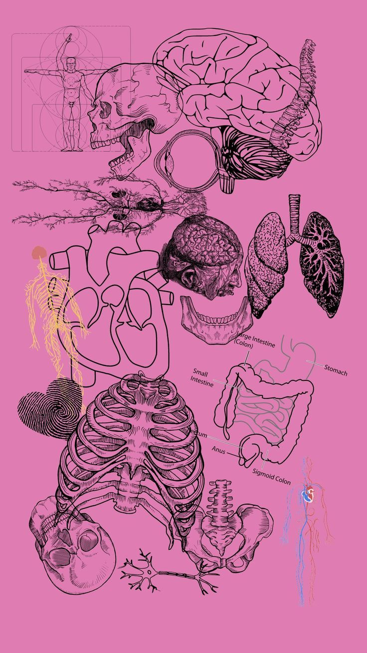 736x1308 Chaos Knowledge by B. Annie