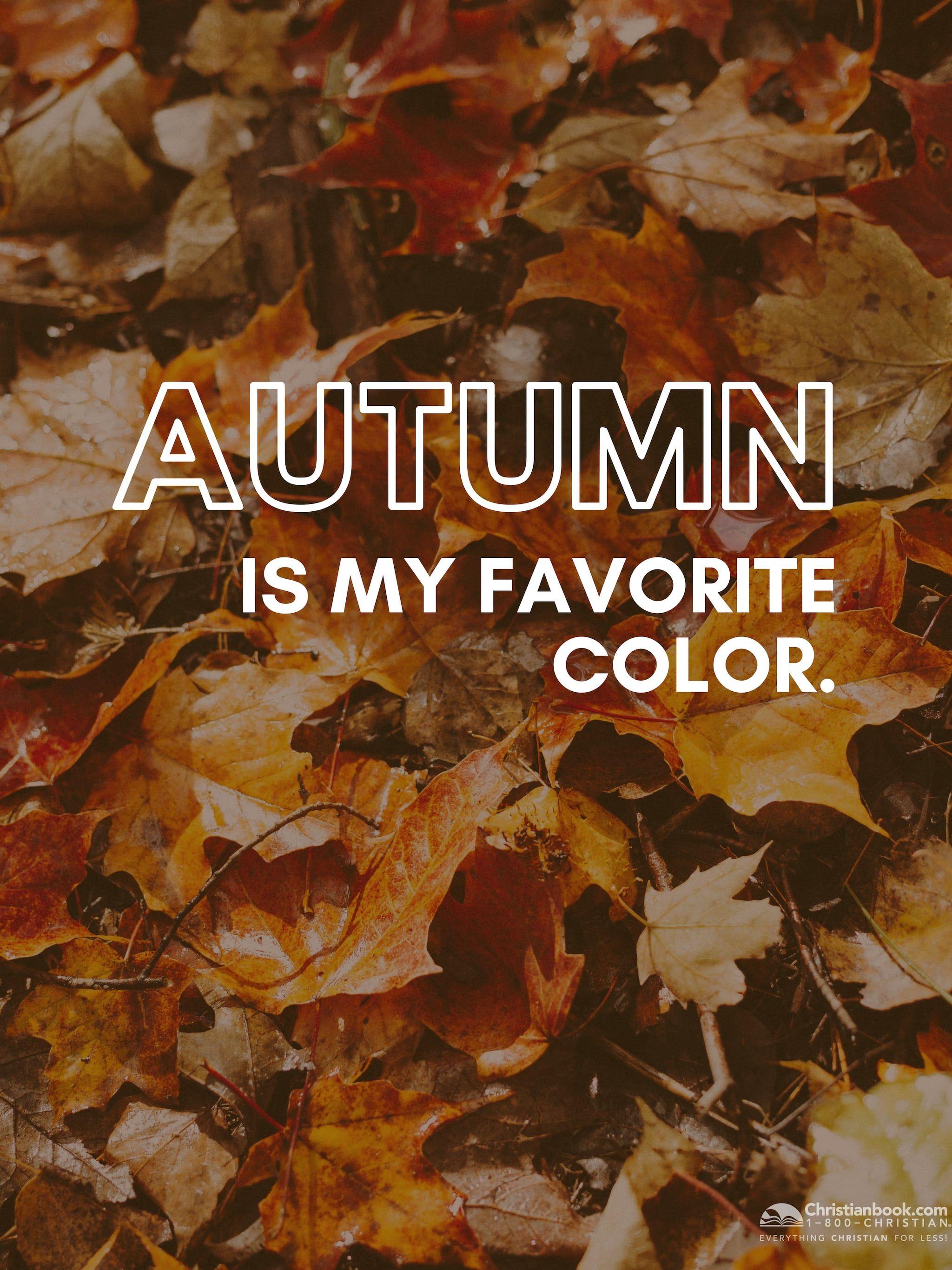 2048x2732 DOWNLOAD // Fall Desktop Wallpaper.com Blog