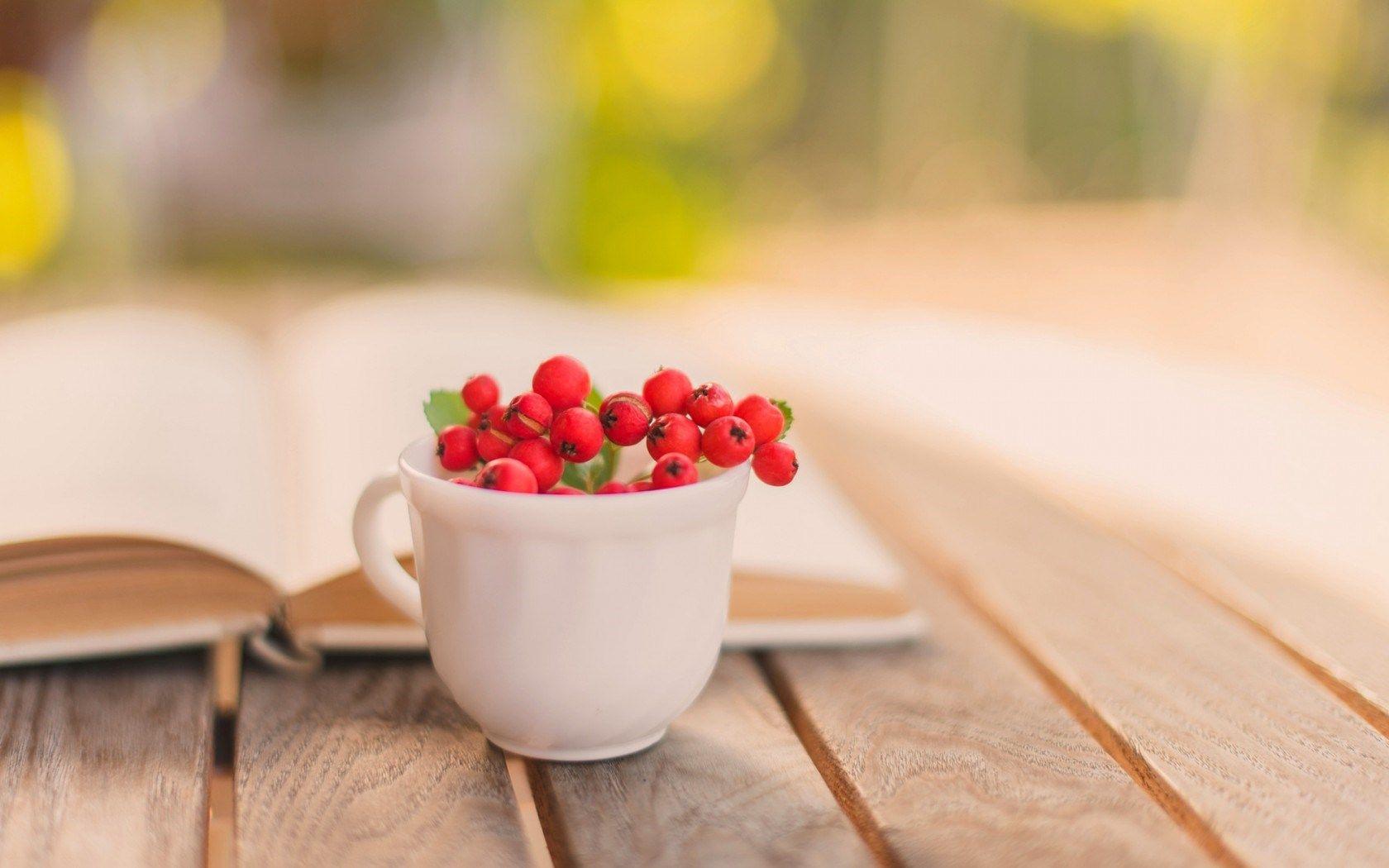 1680x1050 Book Cup Mug Berry Red Autumn wallpaperx1050
