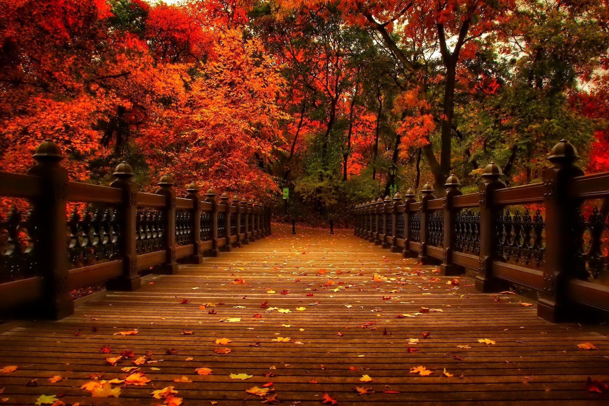 2048x1365 Pretty Fall Background