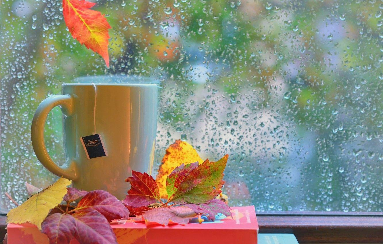 Coffee Rain Wallpapers - Top Free Coffee Rain Backgrounds - WallpaperAccess