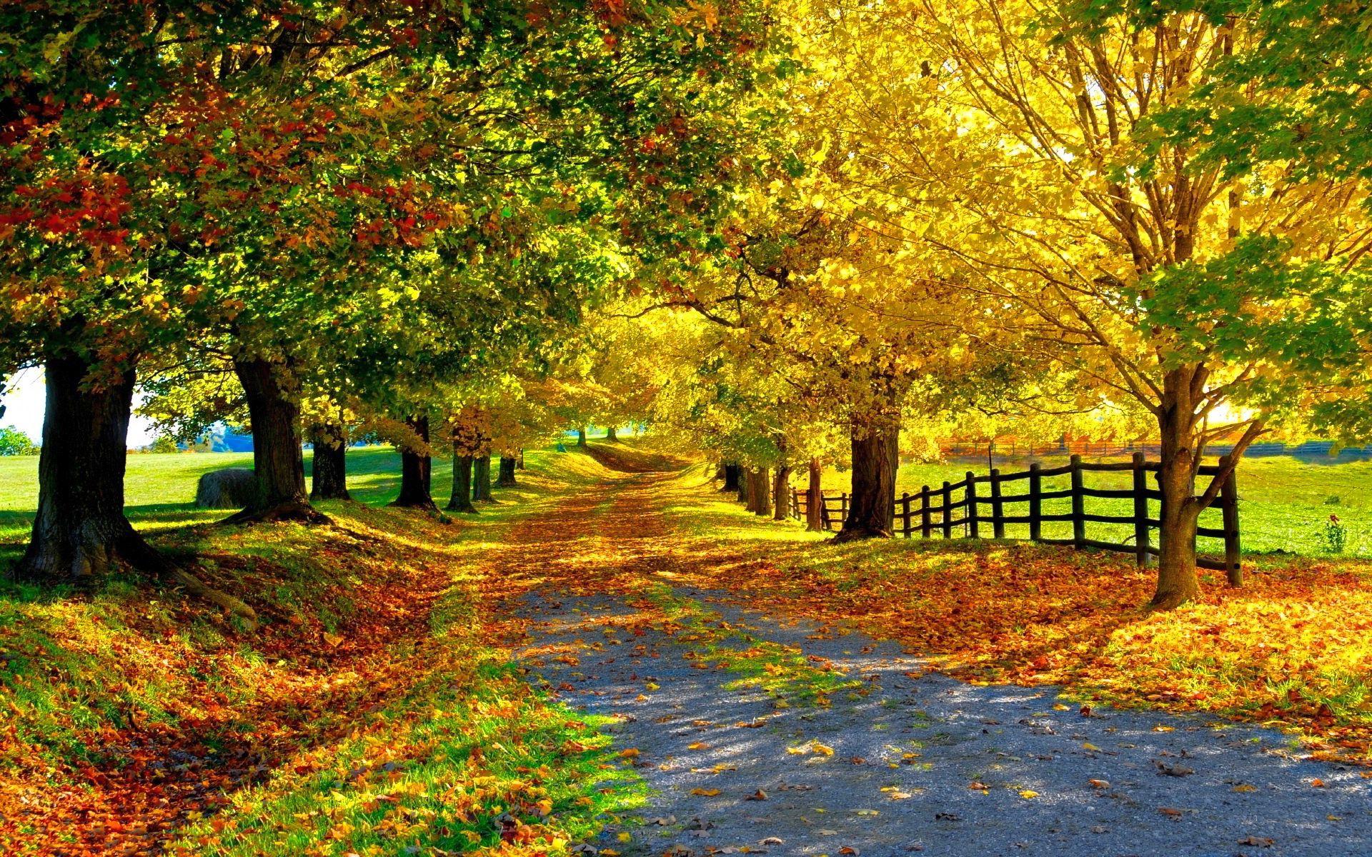 1920x1200 Beautiful autumn
