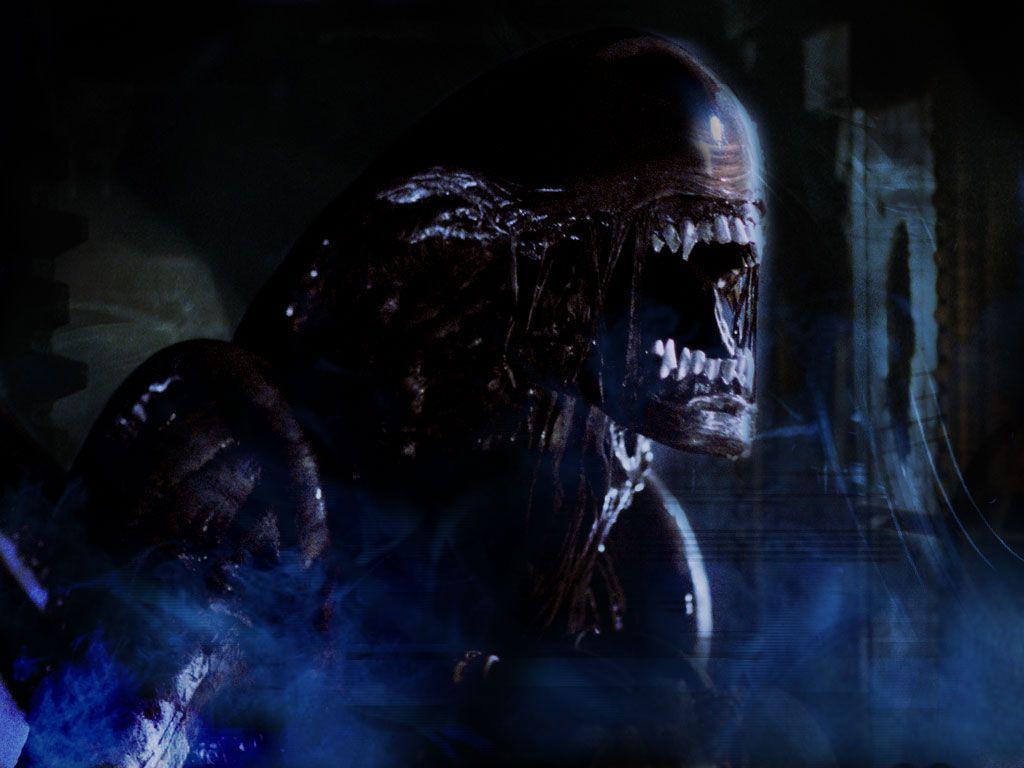 1024x768 AvP Wallpaper's Gallery