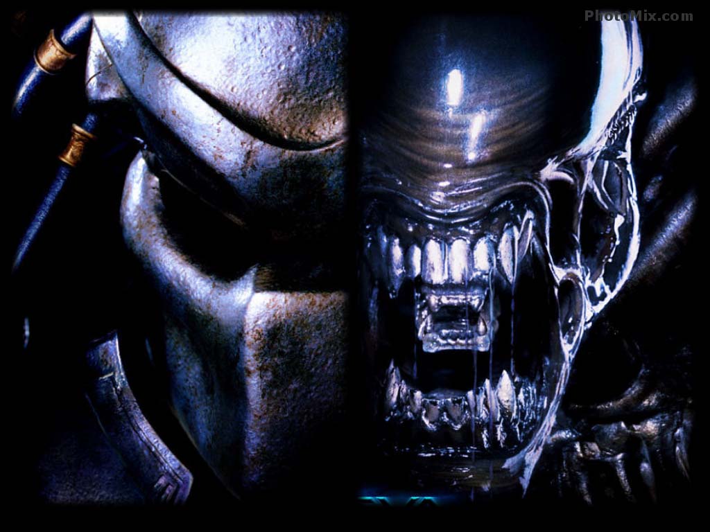 1024x768 Alien Vs Predator Wallpaper