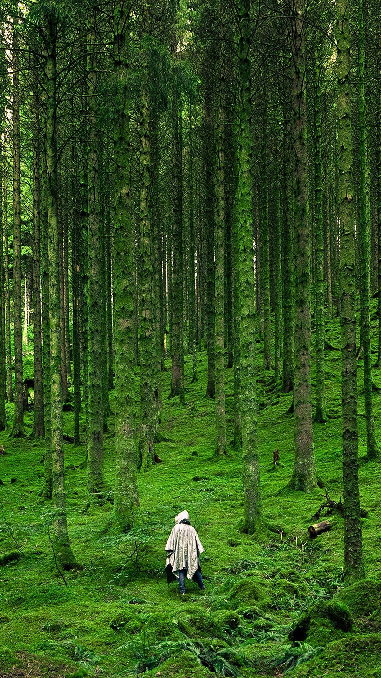 1242x2208 In Wood Forest Green Mountain Nature Android wallpaper