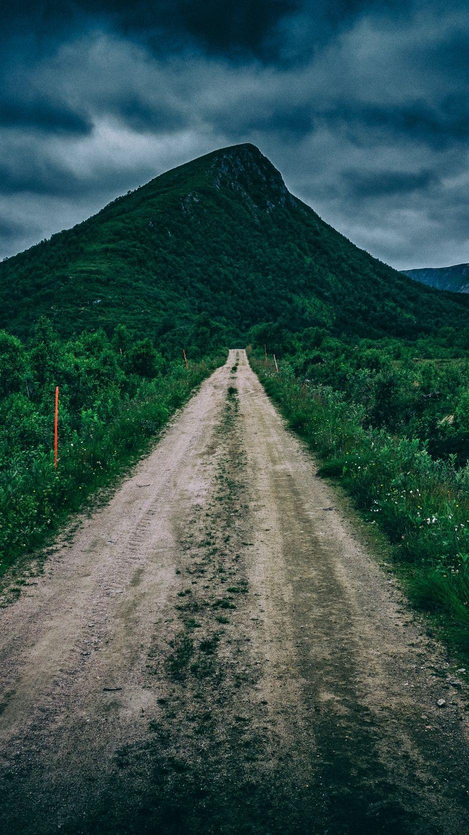 938x1668 Download wallpaper 938x1668 path, mountain, green, grass