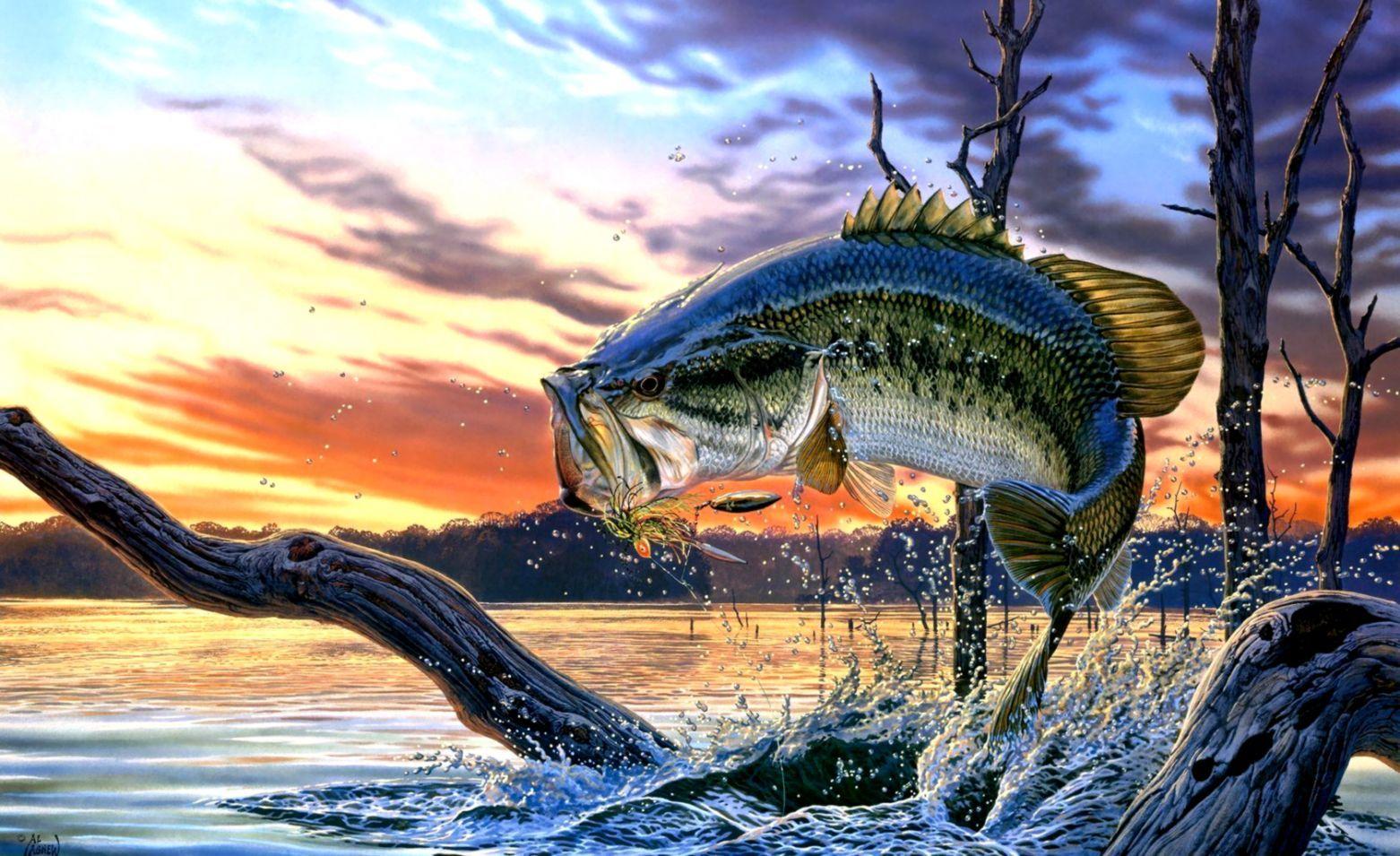 1562x955 Bass Fishing Wallpaper