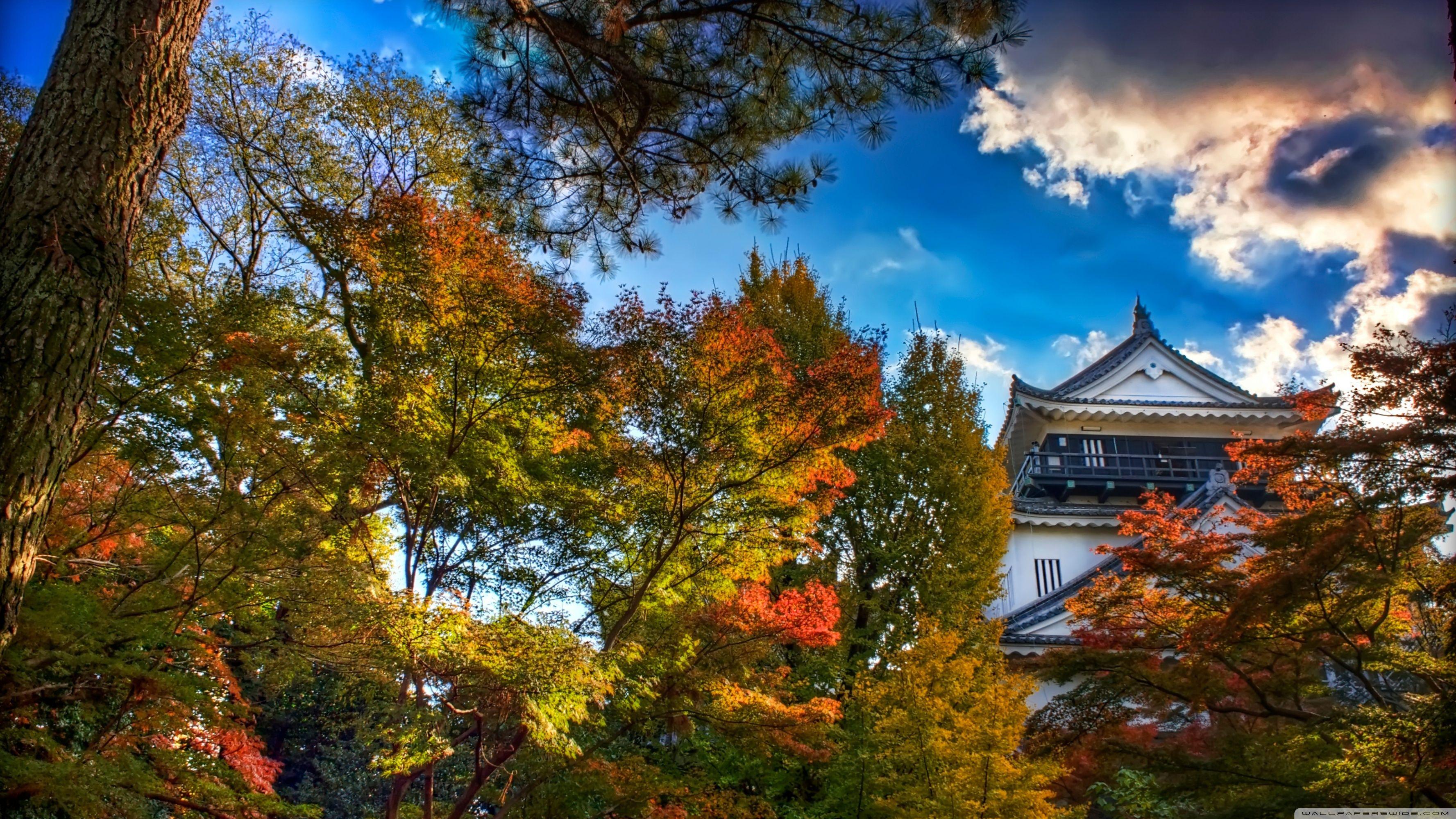 3554x1999 Japan 4K wallpaper Collections