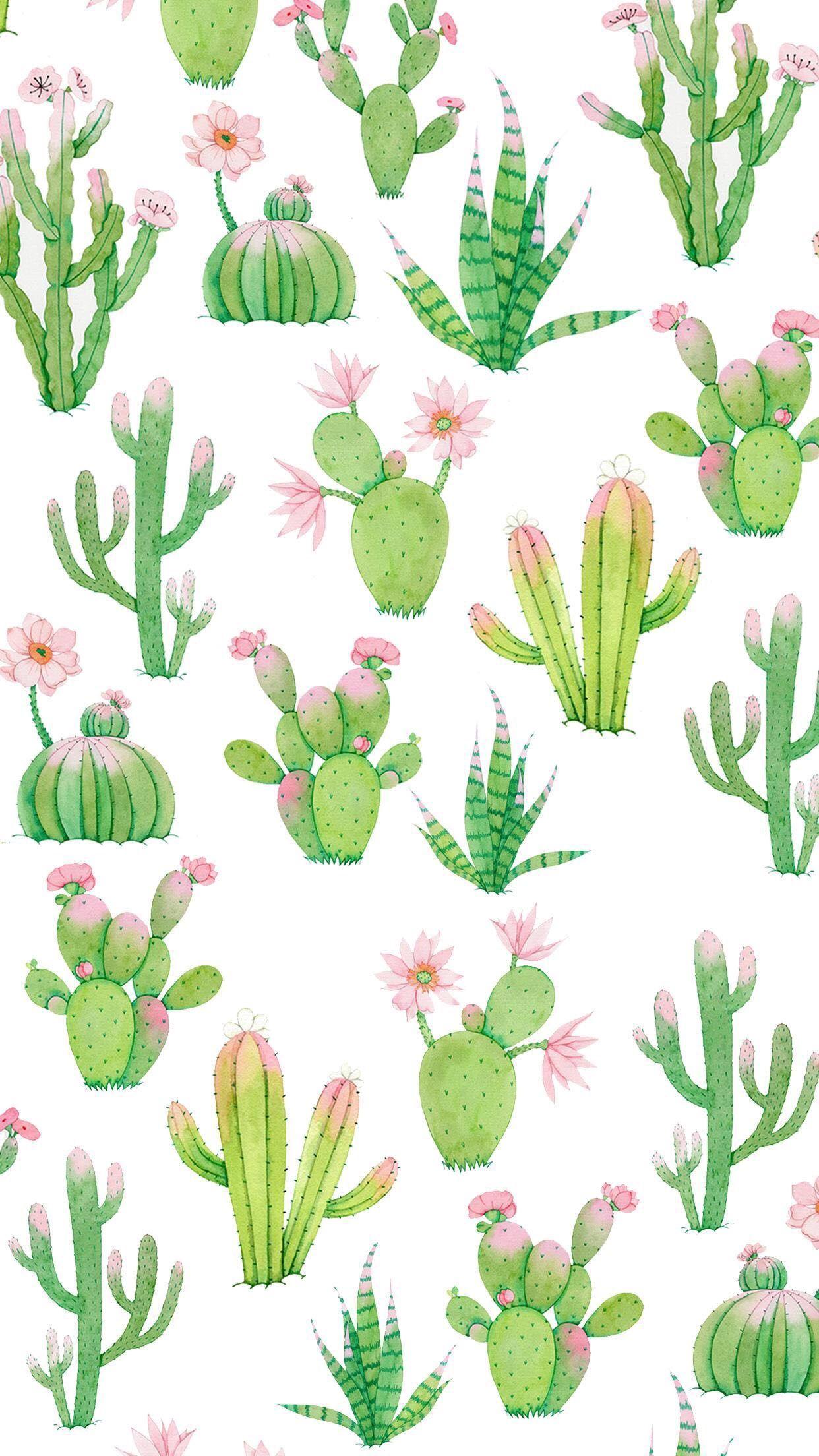  Cactus  Pattern  Wallpapers Top Free Cactus  Pattern  