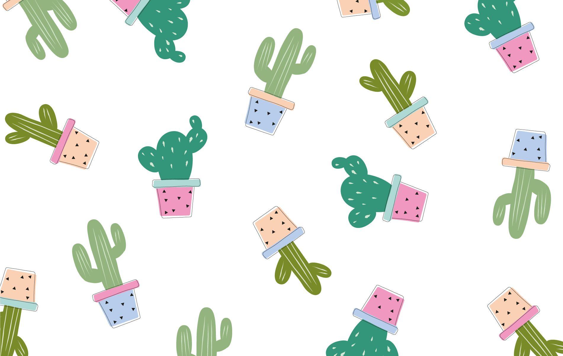 1901x1203 Cute Cactus Wallpaper
