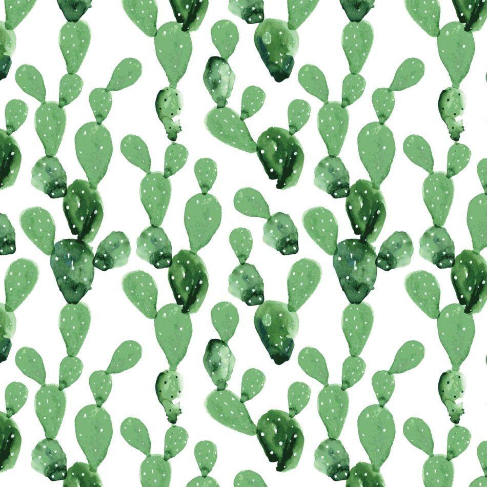 950x950 Dekornik Wallpaper Cactus
