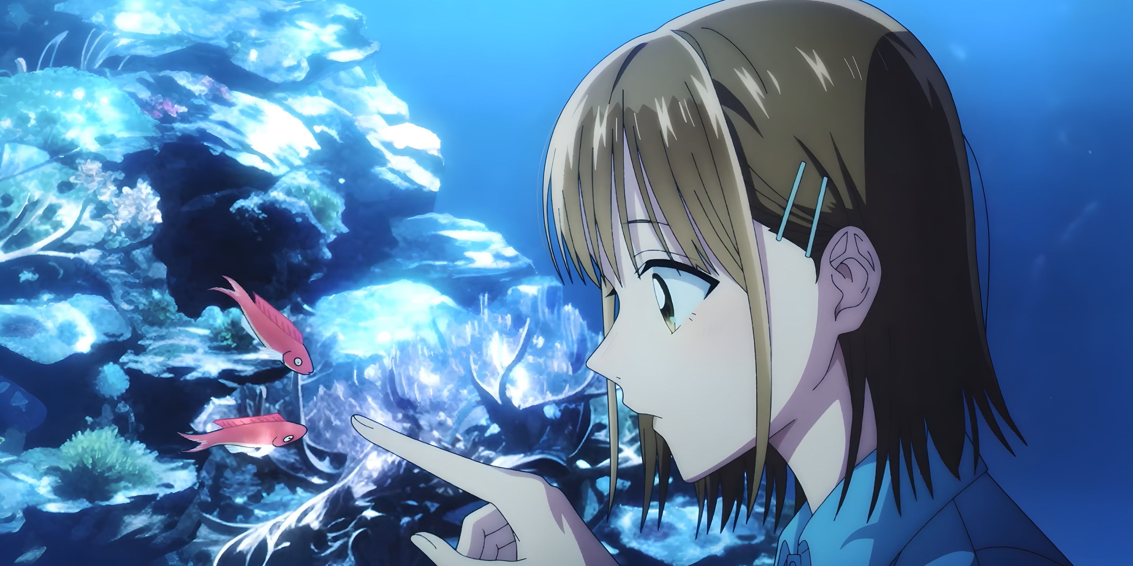 3840x1920 Blue Box Episode 5: The Plot Thickens