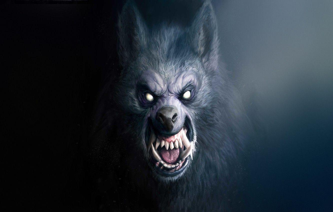 Werewolf Horror Wallpapers - Top Free Werewolf Horror Backgrounds -  WallpaperAccess