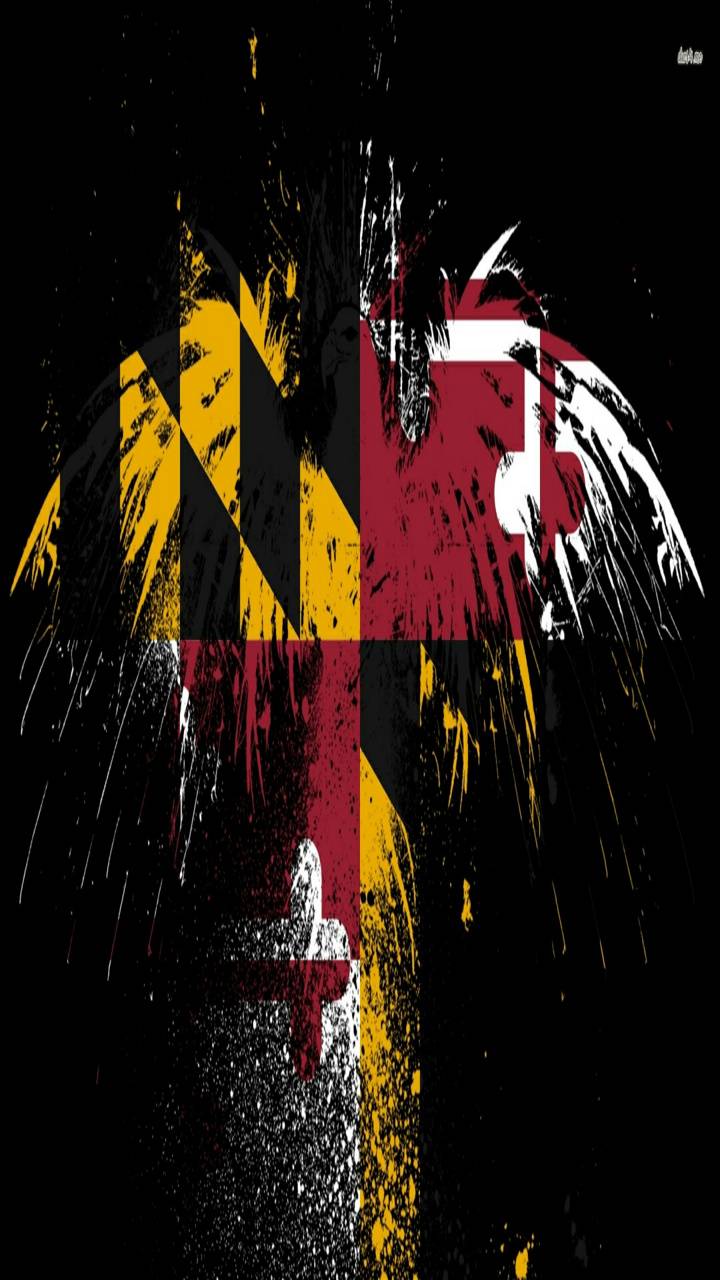 720x1280 Maryland flag bird Wallpaper