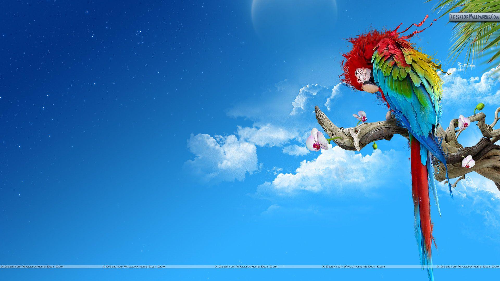 1920x1080 Colorful Bird On Branch Wallpaper