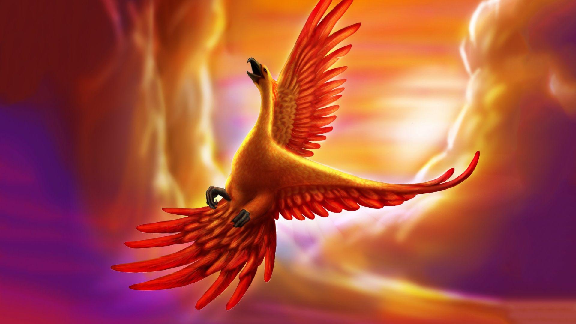 1920x1080 Fantasy Art Beautiful Wallpaper Full HD Birds