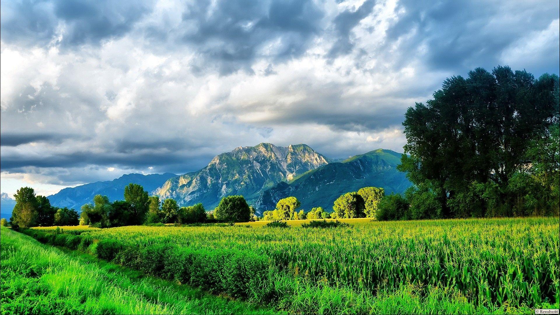 1920x1080 Cloud Mountain Trees Field Way desktop PC and Mac