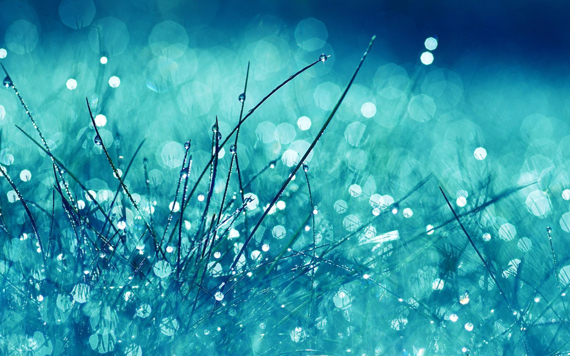 1920x1200 Rain Wallpaper, High Definition, High Quality, Widescreen