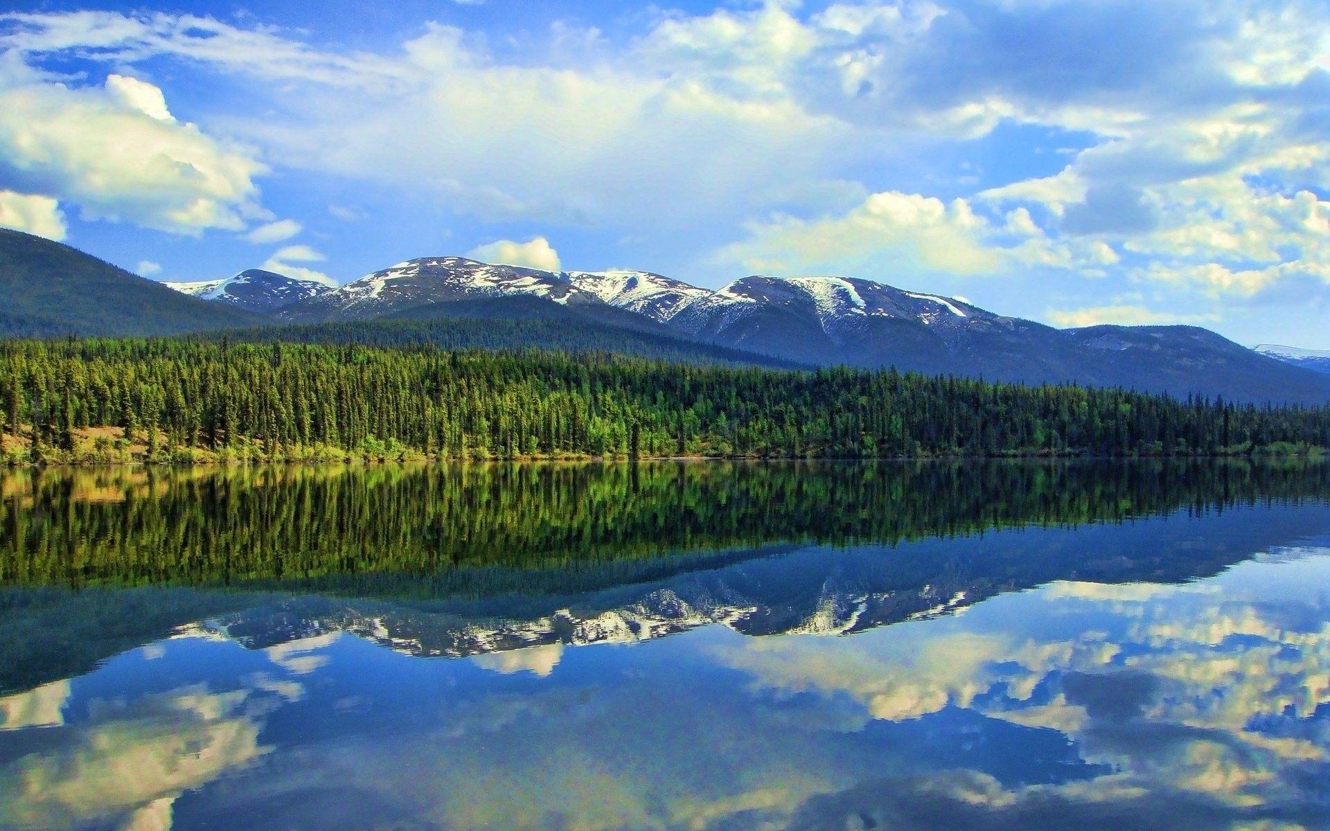 1920x1200 nature, Sky, Windows Wallpaper, Background, Forest, Cloud