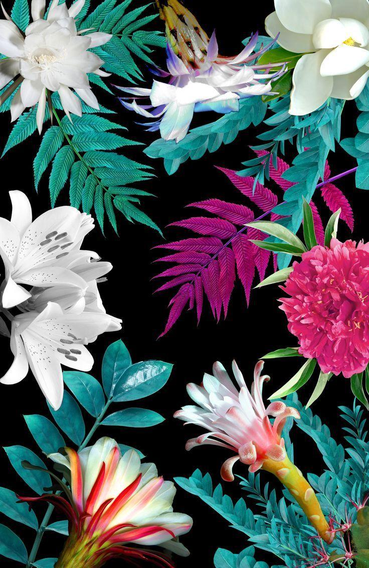 Tropical Floral Wallpapers Top Free Tropical Floral Backgrounds