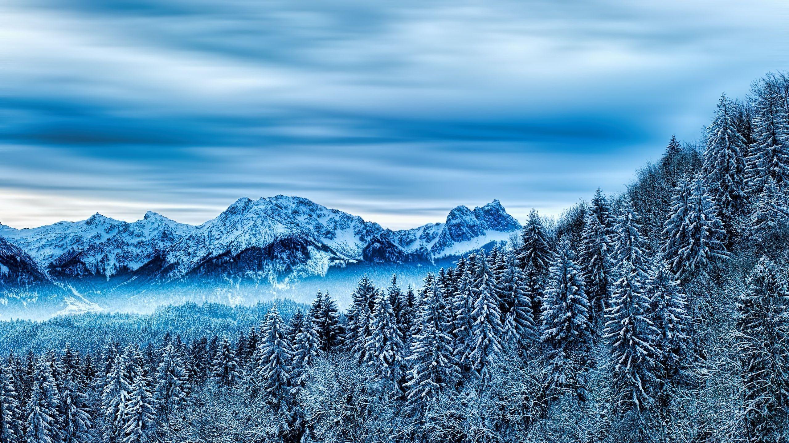 2560x1440 Snow Winter Nature Cloud Mountains 1440P