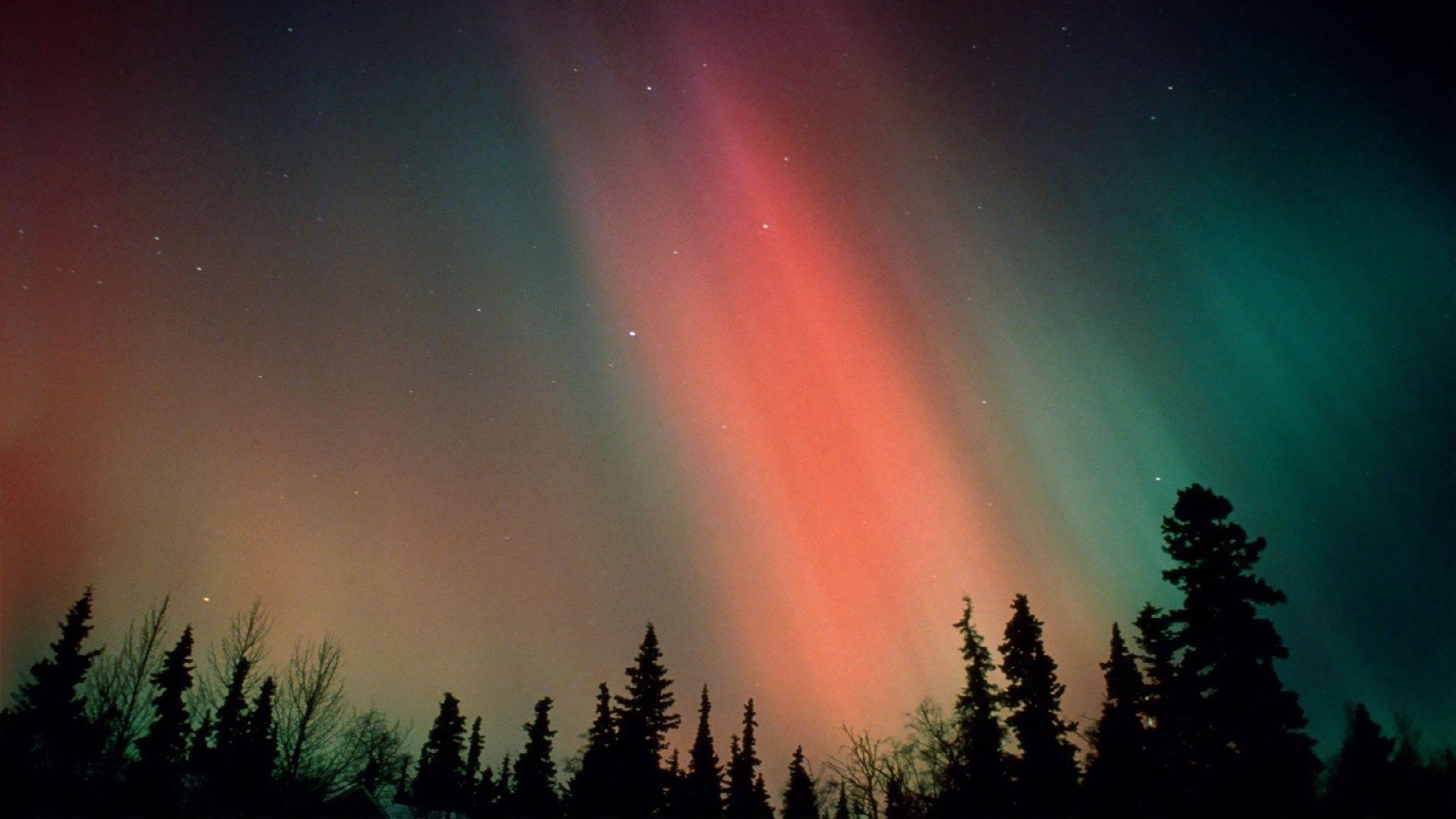 1920x1080 nature, night, stars, forest, aurora borealis, aurora, skies