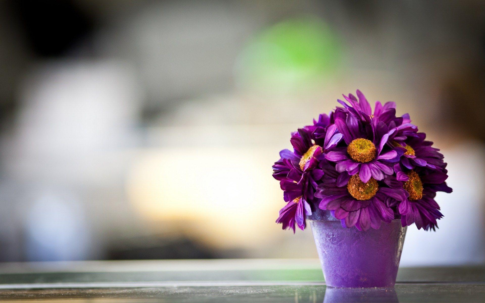 1920x1200 Purple Flowers HD Wallpaper