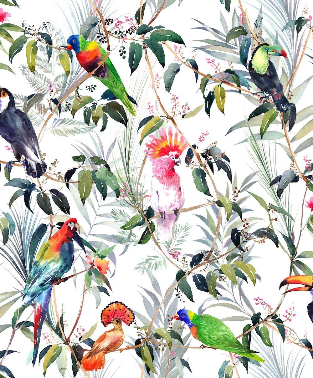 1000x1208 Fresco Amazon Tropical Multi Wallpaper