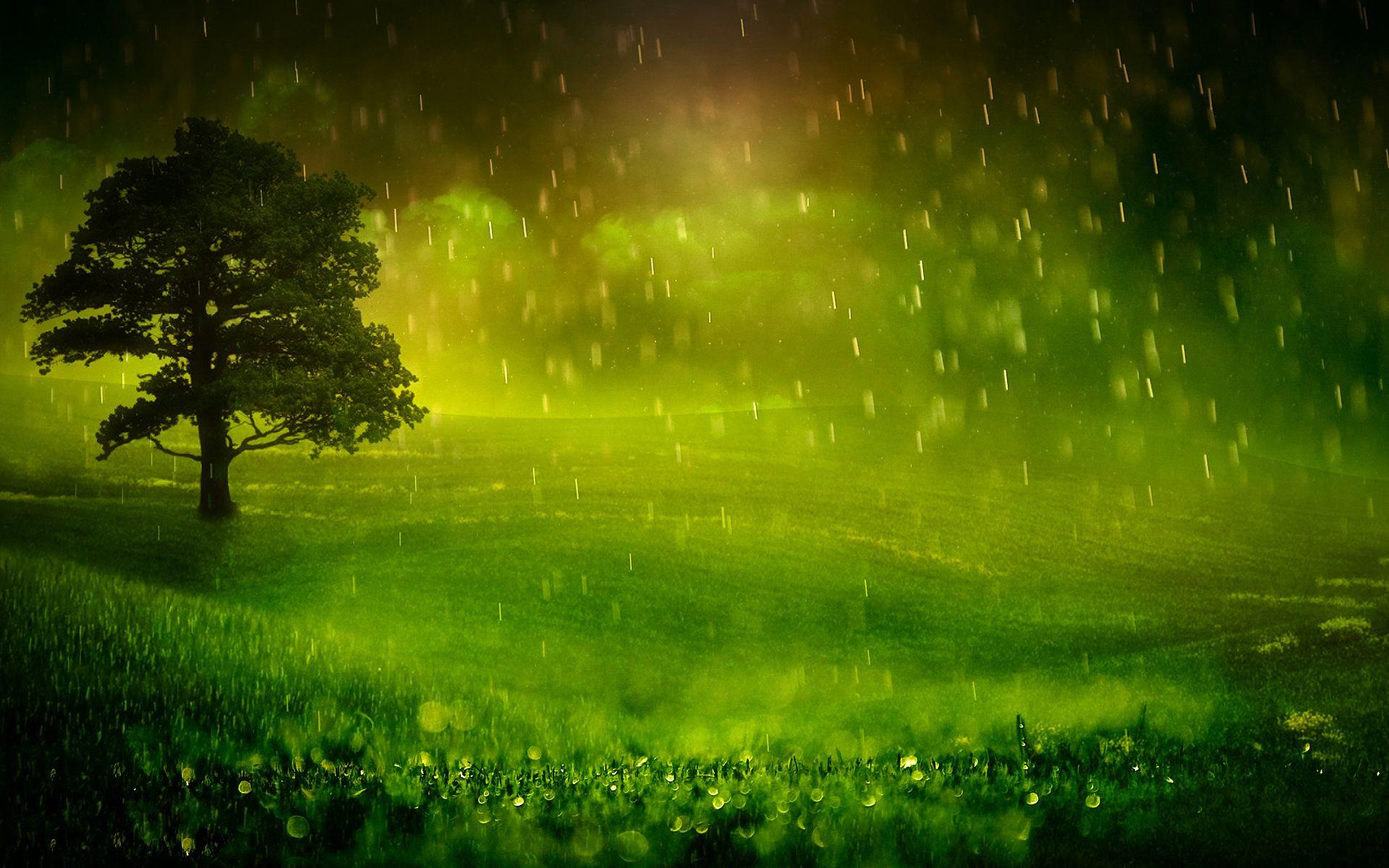 1920x1200 Rain Wallpaper 6005 1920x1200 px