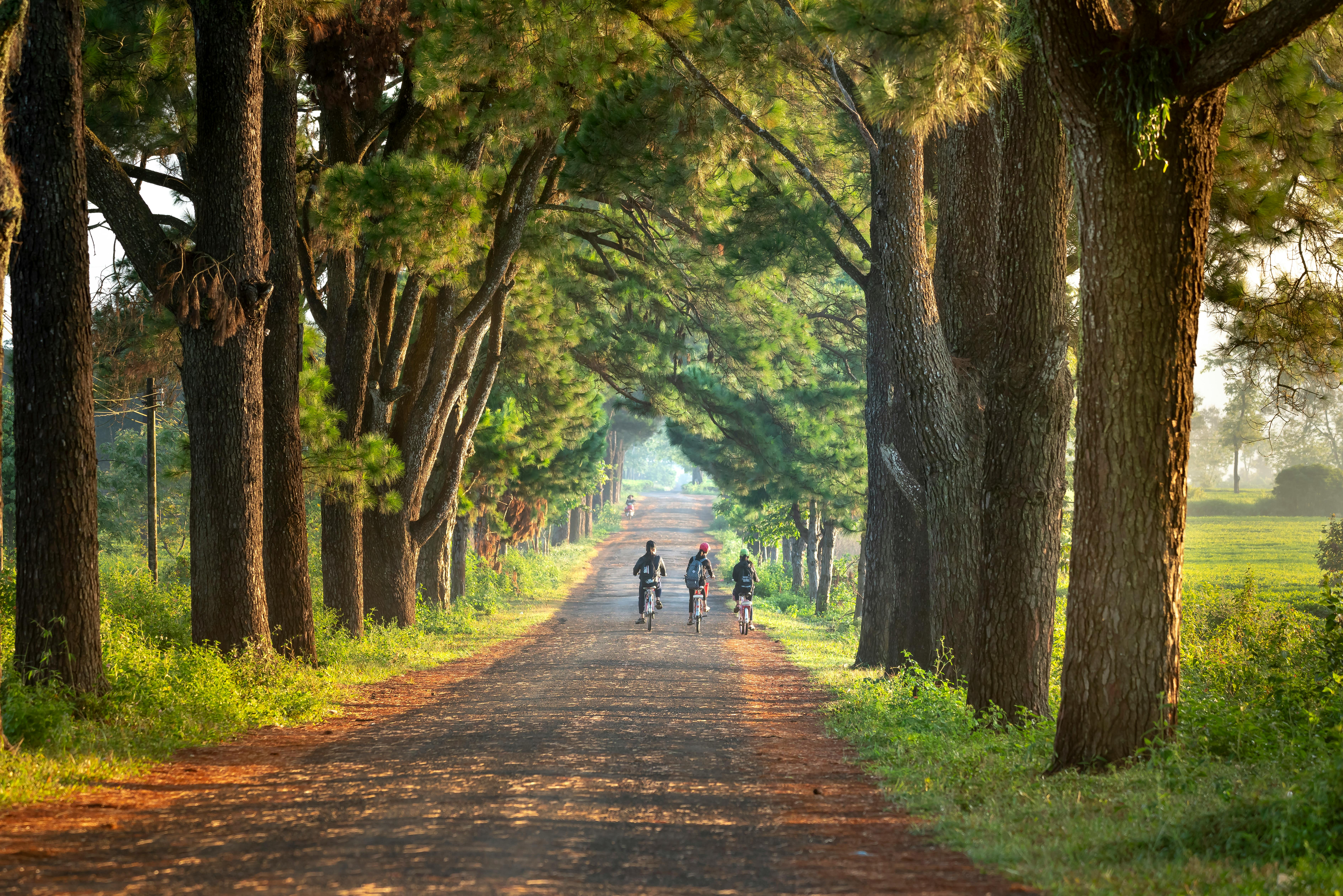 7560x5043 Three Children Riding Bicycles · Free