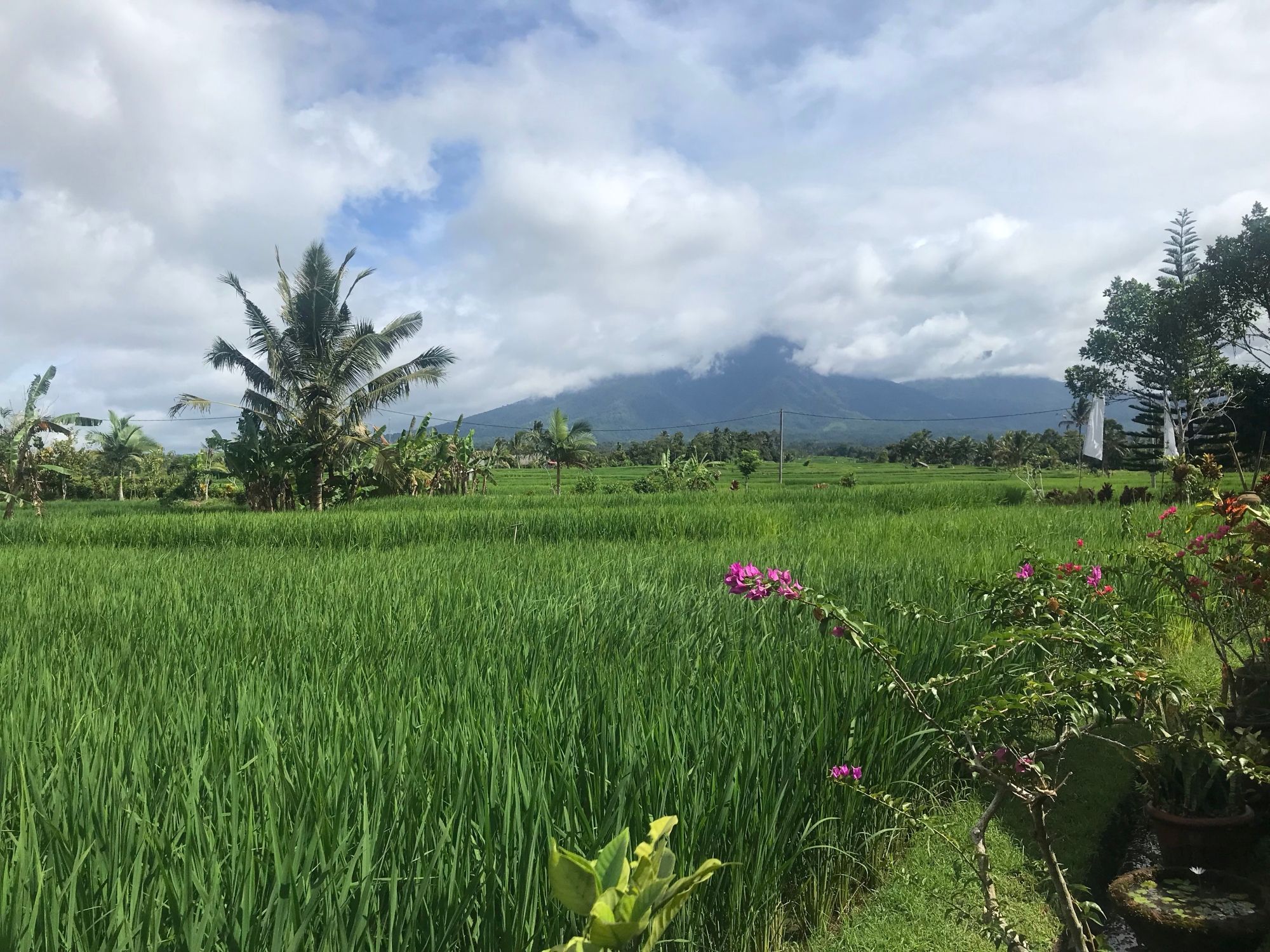 2000x1500 Bali Silent Retreat: What I Learnt