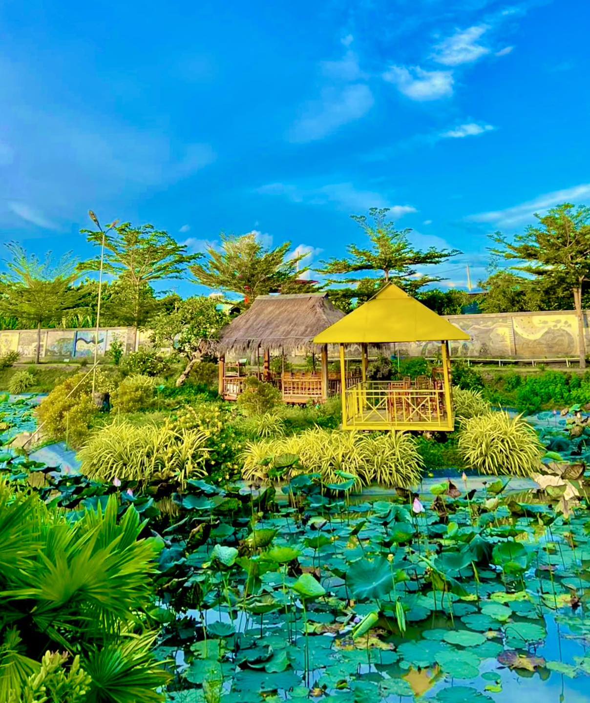 1208x1440 countryside, Coi Nguon Ecotourism Area