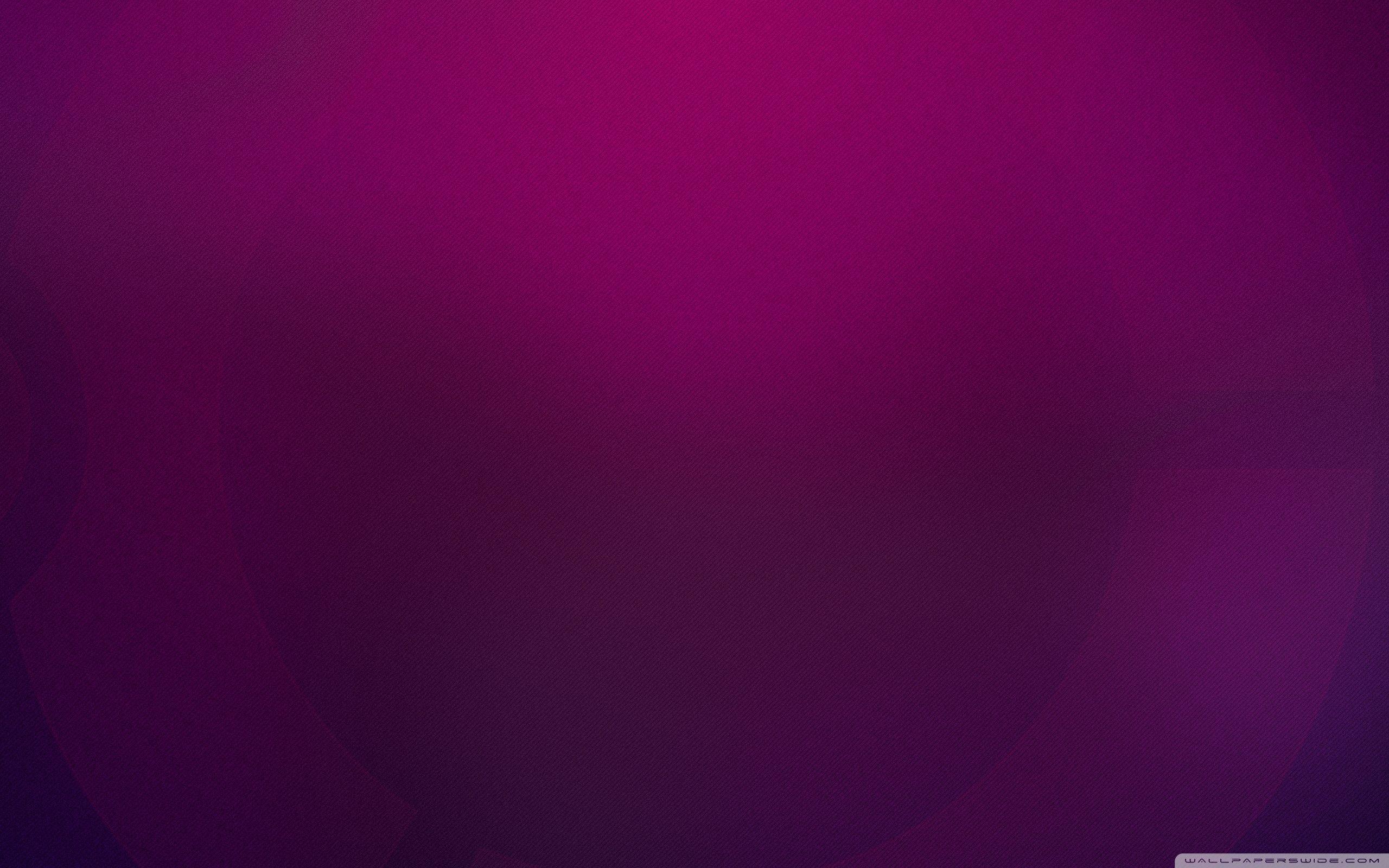 2560x1600 Magenta Desktop Wallpaper