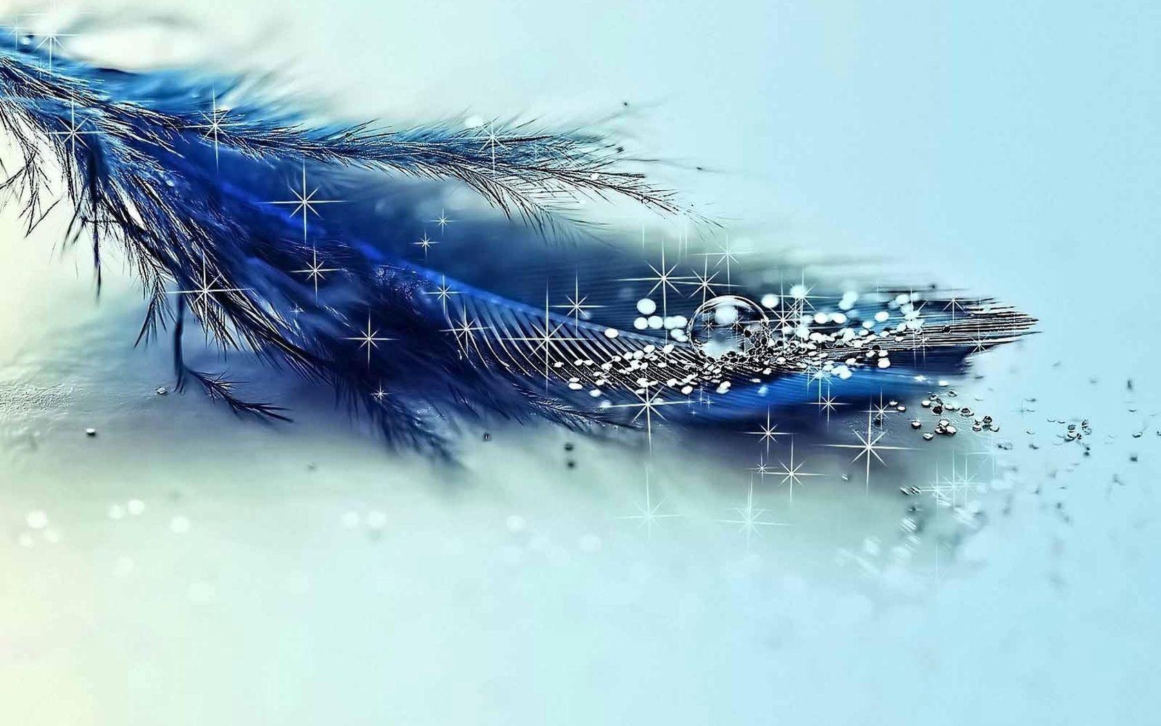1680x1050 Photo by Rebecca Clark HD Background Diamond Picture