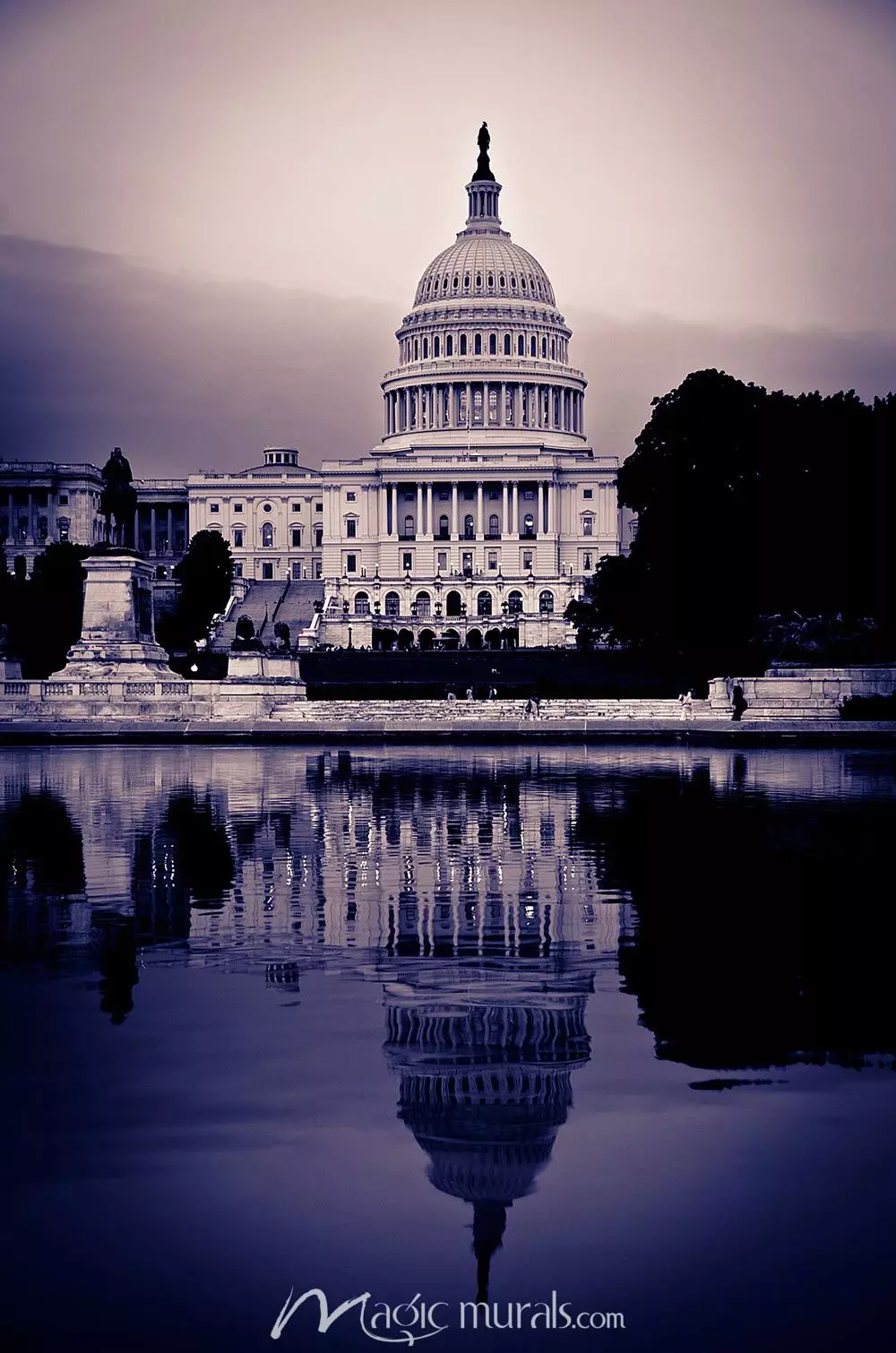 1000x1510 US Capitol Building Wallpaper Mural