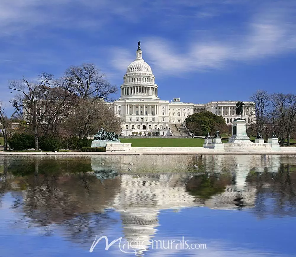 1000x866 US Capitol Building Wallpaper Wall