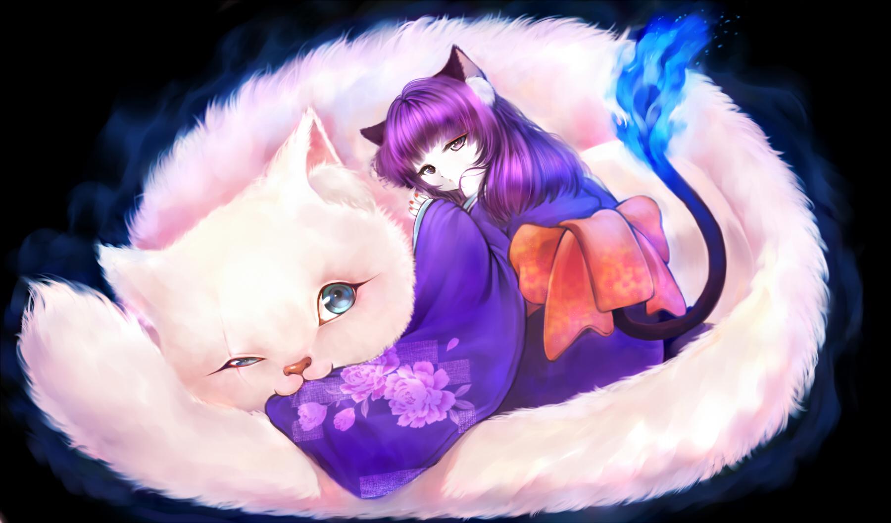 1800x1056 Neko cat wallpaper live