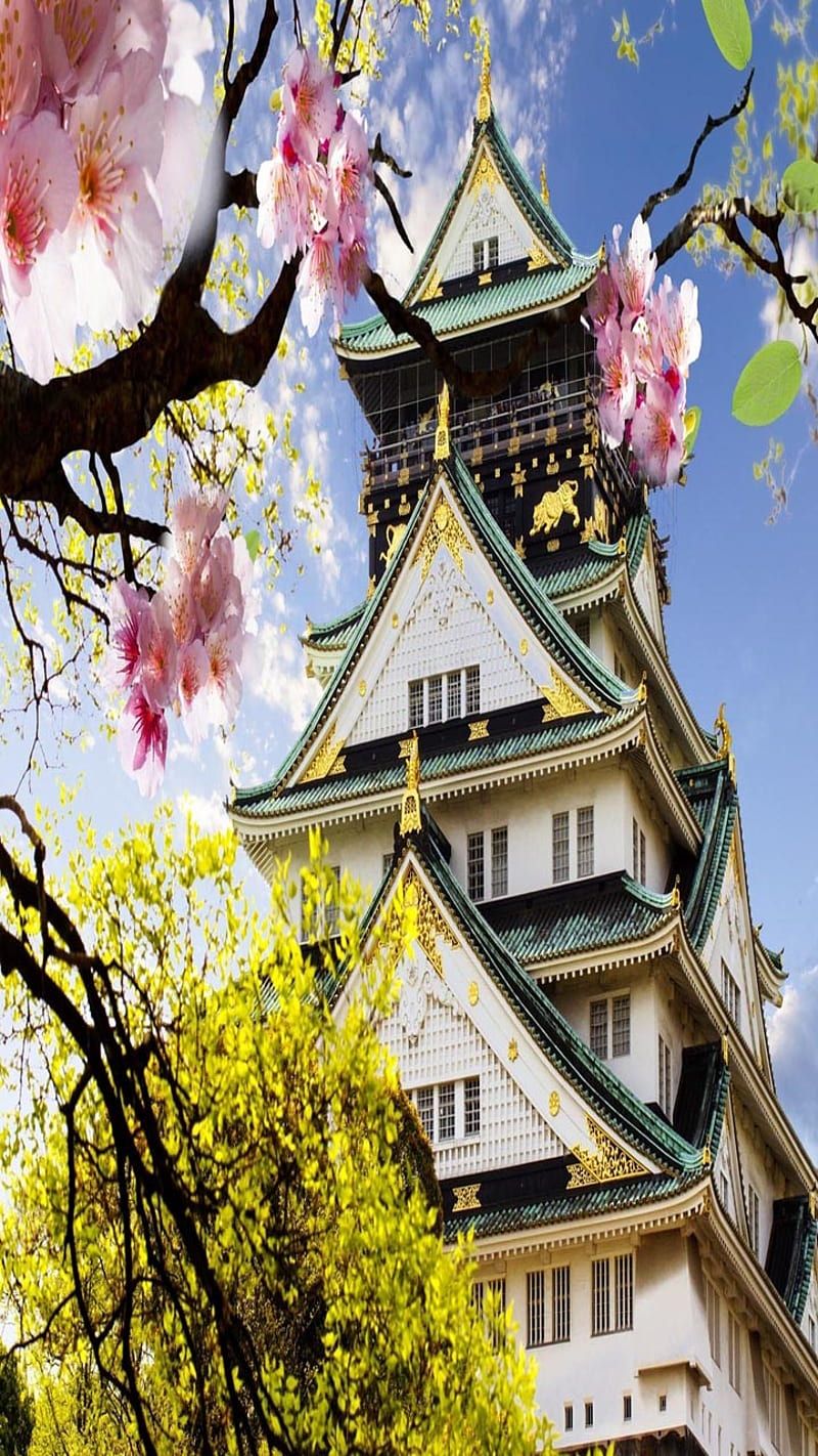800x1422 Japanese Castle, look, nice, HD phone