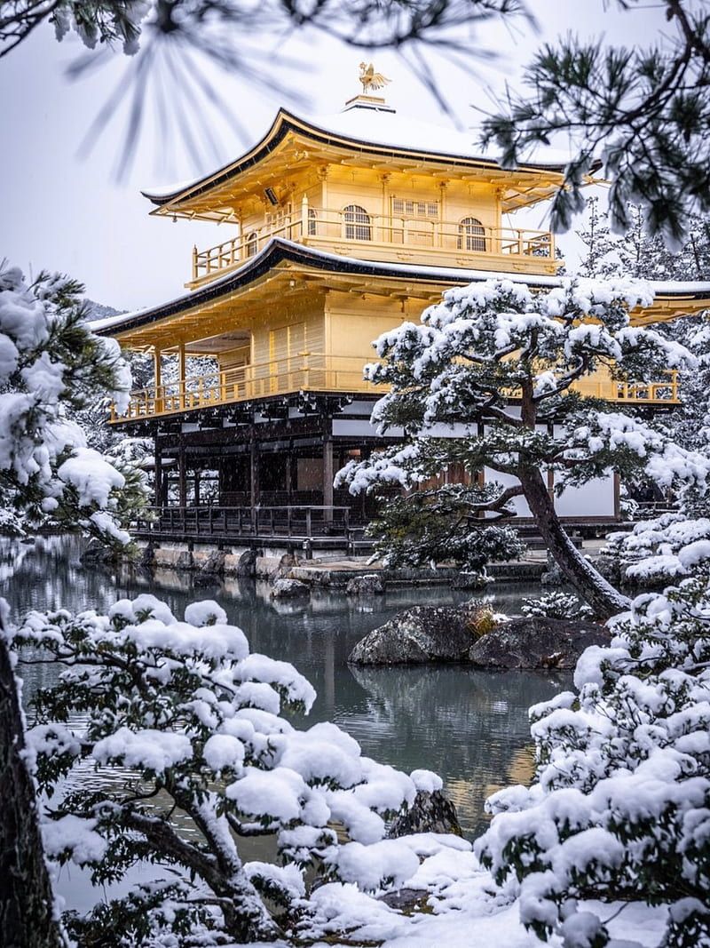 800x1067 Japan, shrine, HD phone wallpaper