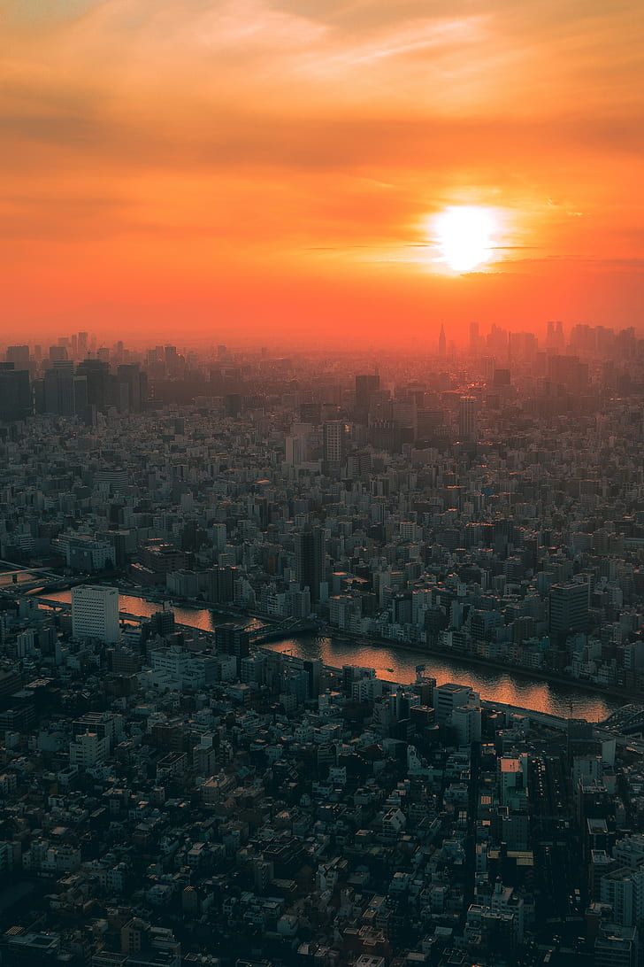 728x1092 city, sunset, fog, aerial view, tokyo