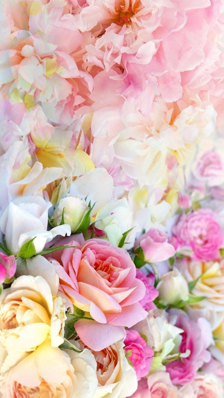 Pastel Floral Wallpapers - Top Free Pastel Floral Backgrounds - WallpaperAccess