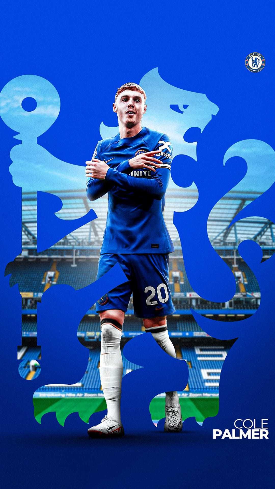 Cold Palmer Wallpapers - Top Free Cold Palmer Backgrounds - WallpaperAccess