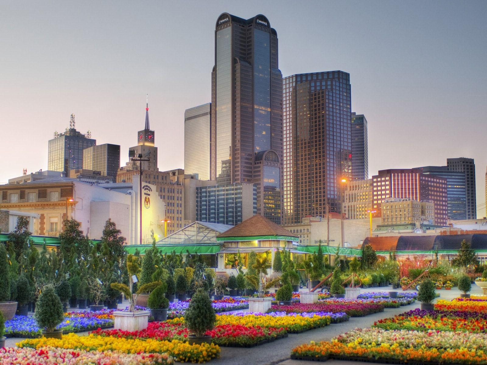 1600x1200 Dallas HD