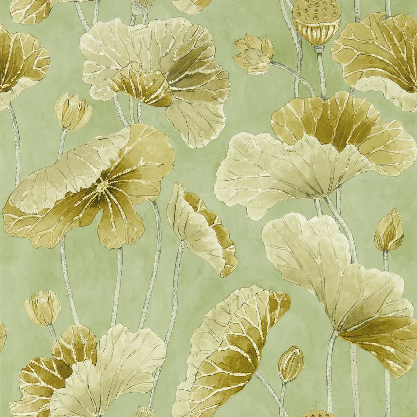 1366x1366 Lotus Leaf wallpaper Sanderson