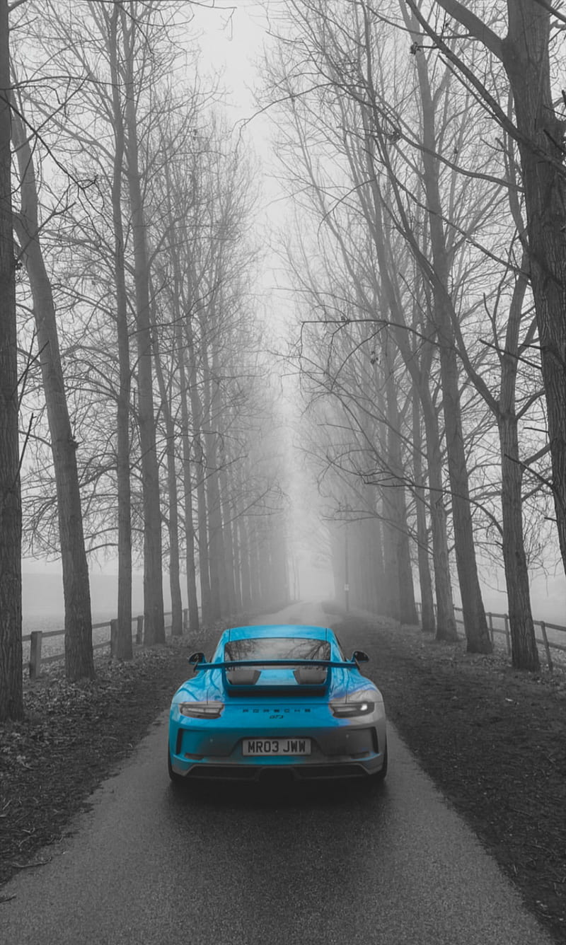 800x1336 HD porsche winter wallpaper
