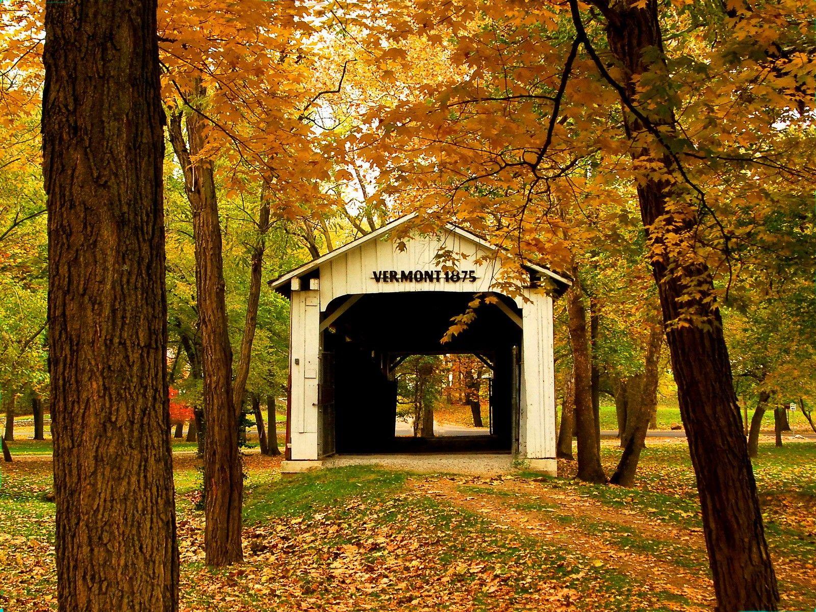 1600x1200 Bridges: Vermont Bridge Serenity Patyh America Forest Branches Park