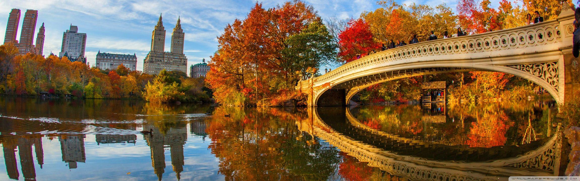 2304x720 Fall Foliage in Central Park New York City ❤ 4K HD Desktop