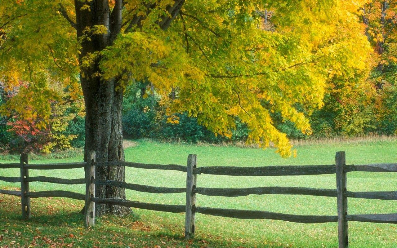 1280x800 Apple wallpaper: Trees Autumn Fence Rural Vermont Field