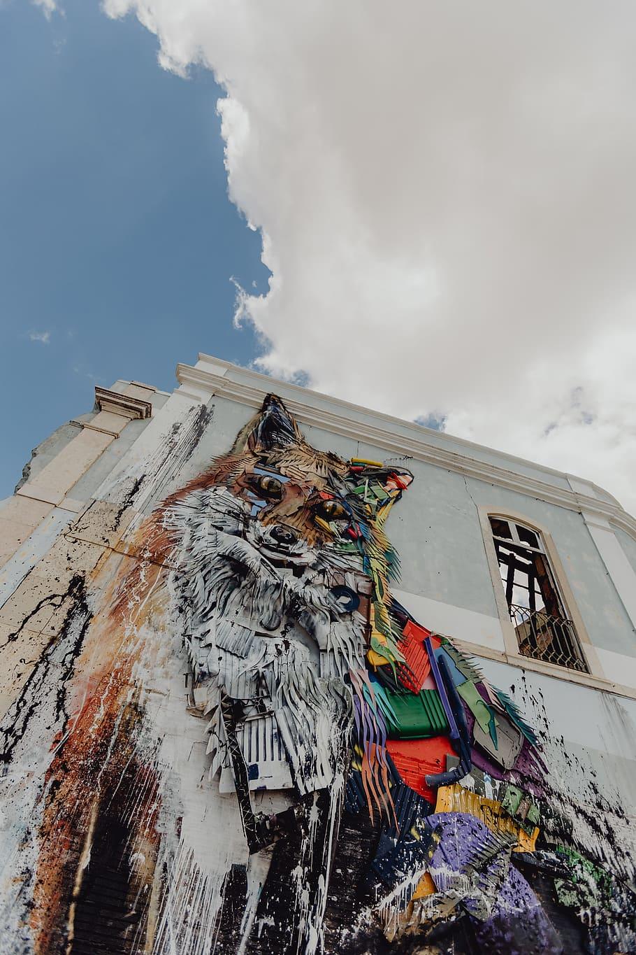 910x1365 HD wallpaper: Lisbon street art, Portugal, Europe, lisboa